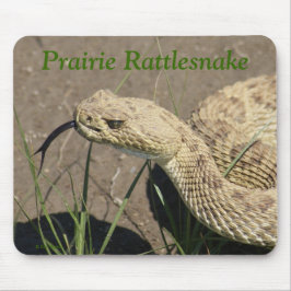 Mousepad Cabeça de Cascavel das Planícies R8
