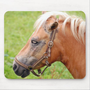Mousepad Cabeça de cavalo 003