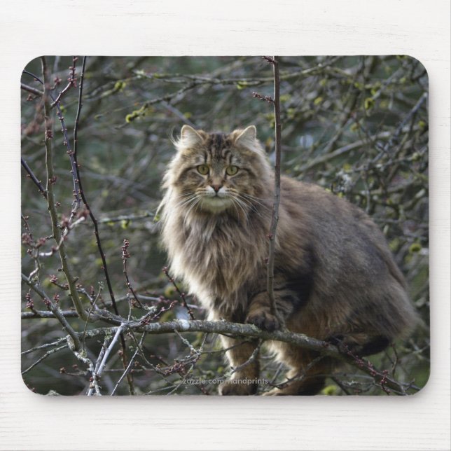 Mousepad Cabeça de gato (Frente)