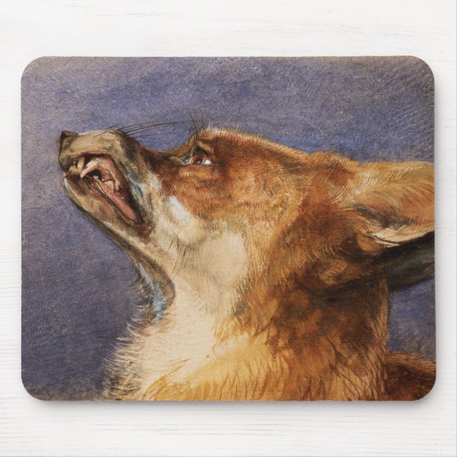 Mousepad Cabeça de um Fox (Frente)