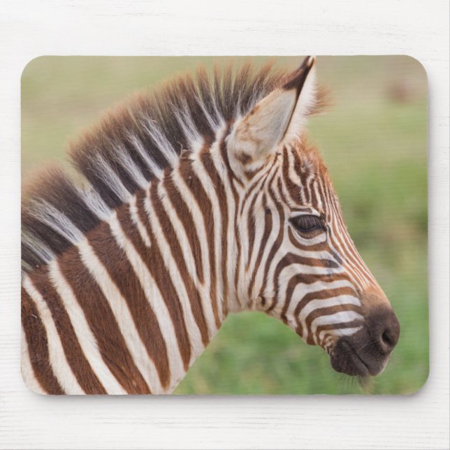 Mousepad Cabeça de zebra bebê, Tanzânia (Frente)