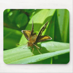Mousepad Cabeçote Butterfly Do Skipper