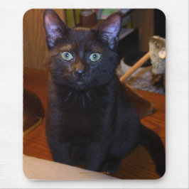 Mousepad Cabeçote de Gato Preto