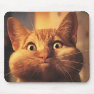 Mousepad Cabeçote Gato Surpreso