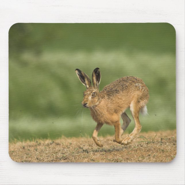 Mousepad Cabelo (Frente)