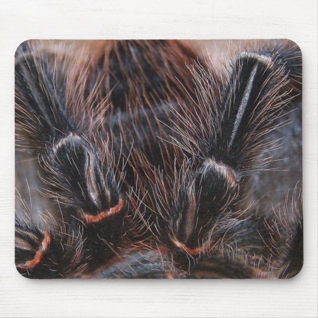 Mousepad cabelo da aranha (Frente)