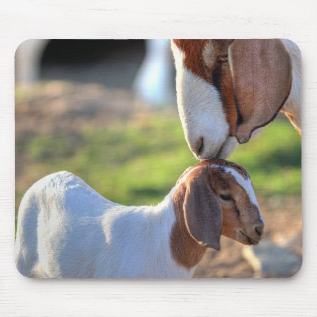 Mousepad Cabra & bebê da mãe (Frente)