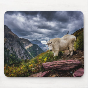 Mousepad Cabra de montanha rochosa