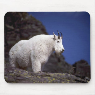 Mousepad Cabra de montanha rochosa (grande homem)