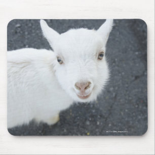 Mousepad Cabra nova
