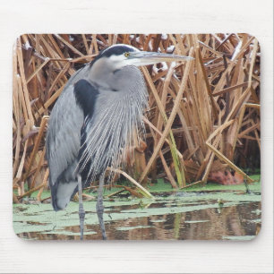 Mousepad Caça da garça-real de grande azul no inverno