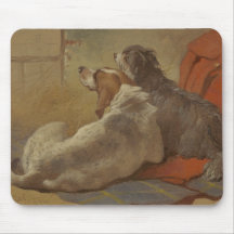 Caça e Collie (Dois Cães)