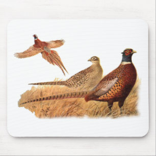 Mousepad Caça indescritível do pássaro do faisão