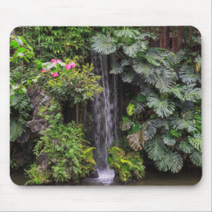 Mousepad Cachoeira do Jardim Luxuriante, China