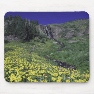 Mousepad Cachoeira e flores silvestres em prado alpino, 3