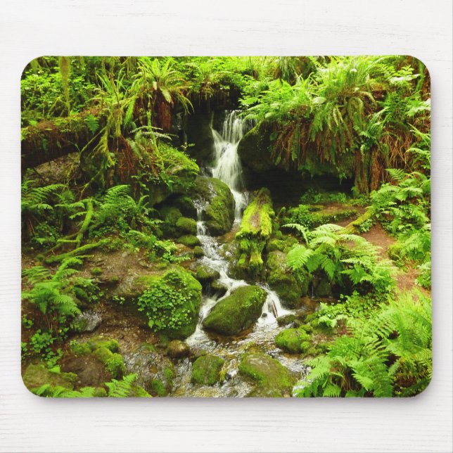 Mousepad Cachoeira Trillium no Parque Nacional Redwood (Frente)