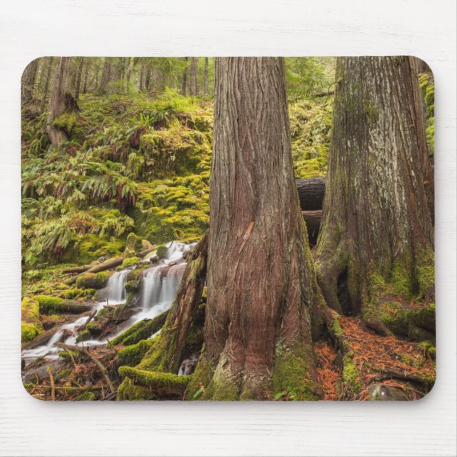 Mousepad Cachoeira White Branch, Oregon Cascades, Oregon (Frente)