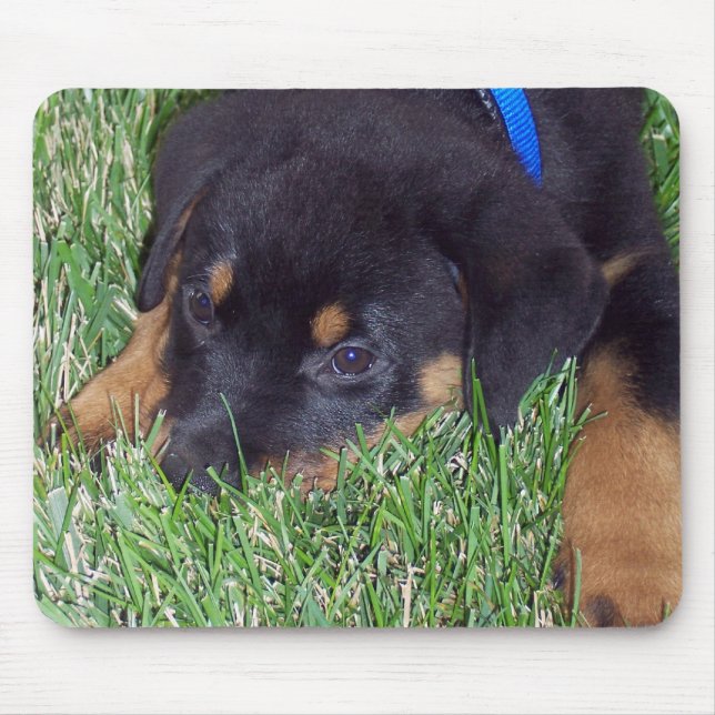 Mousepad cachorrinho. (Frente)