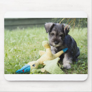 Mousepad cachorrinho 2 mini schnauzer