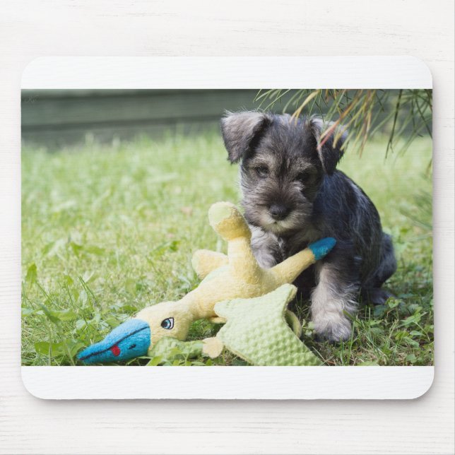 Mousepad cachorrinho 2 mini schnauzer (Frente)