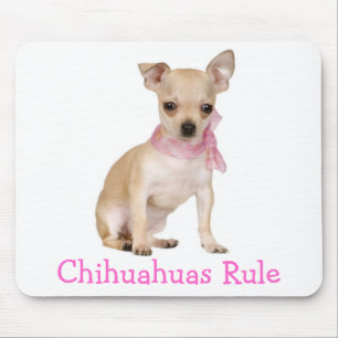 Mousepad Cachorrinho Fofinho Amante do Chihuahua Engraçado