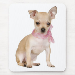 Mousepad Cachorrinho Fofinho Amante do Chihuahua Funcional