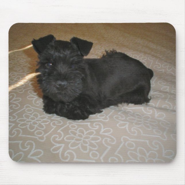 Mousepad cachorrinho mini schnauzer (Frente)