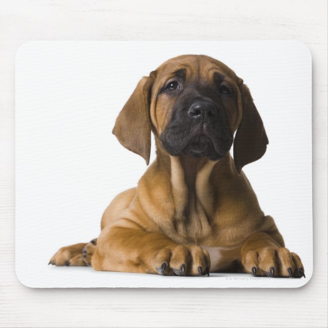 Mousepad Cachorro (Frente)