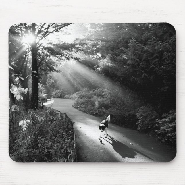 Mousepad Cachorro à luz do sol da manhã (Frente)