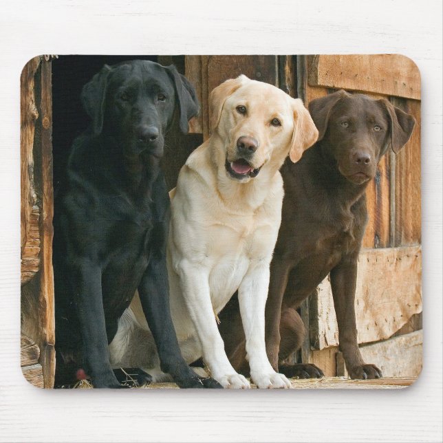 Mousepad Cachorro Amarelo Lab Preto Castanho Labrador Retri (Frente)