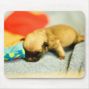 Mousepad Cachorro-bebê-Nascer
