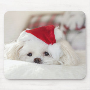 Mousepad Cachorro Branco giro em chapéu vermelho de Natal