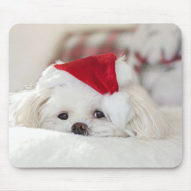 Mousepad Cachorro Branco giro em chapéu vermelho de Natal (Frente)