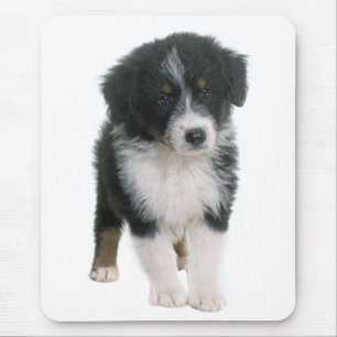 Mousepad Cachorro Cachorro-Cachorro Australiano - Aussie Lo