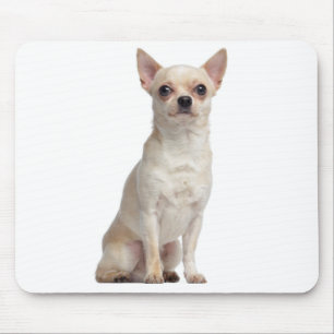 Mousepad Cachorro Cachorro Cachorro Bonito Dão Engraçado Ch