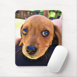 Mousepad Cachorro Cachshund Puppy Castanho