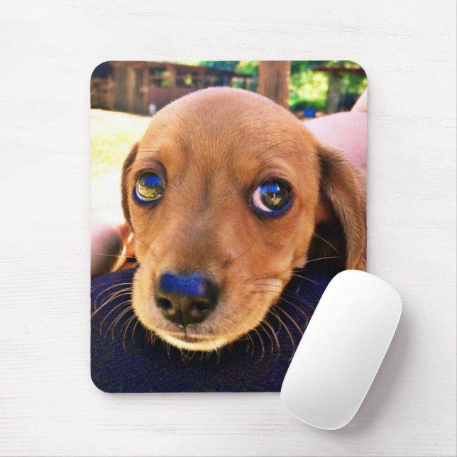 Mousepad Cachorro Cachshund Puppy Castanho (Com mouse)