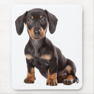 Mousepad Cachorro Cãozinho Cãozinho Cachshund