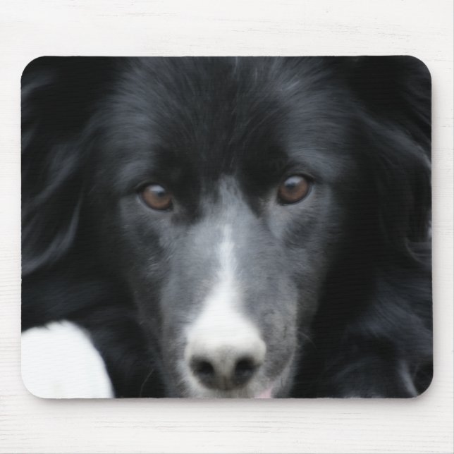 Mousepad Cachorro Collie de Borda Negra (Frente)