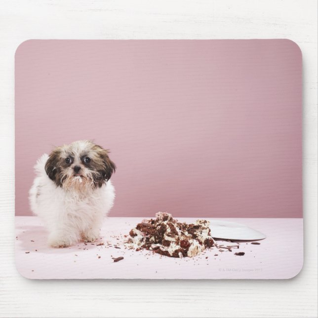 Mousepad Cachorro com bolo no chão (Frente)