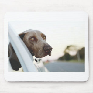 Mousepad Cachorro com cabeça fora da janela do carro