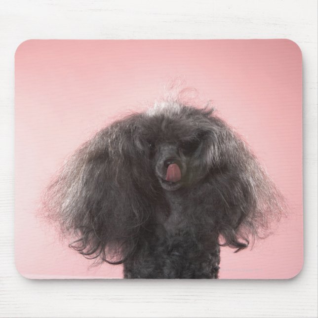 Mousepad Cachorro com cabelo na frente da face e língua par (Frente)