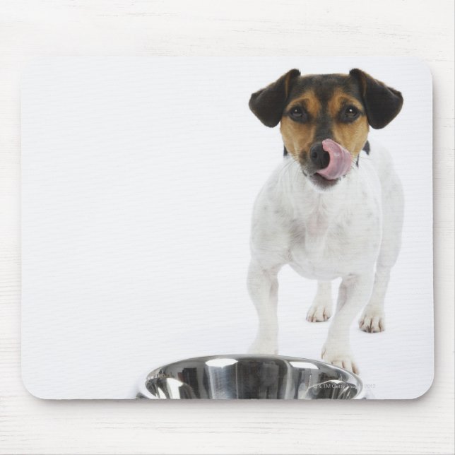 Mousepad Cachorro com Tigela Grande (Frente)
