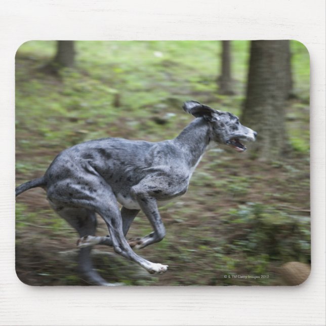 Mousepad Cachorro correndo na floresta (Frente)