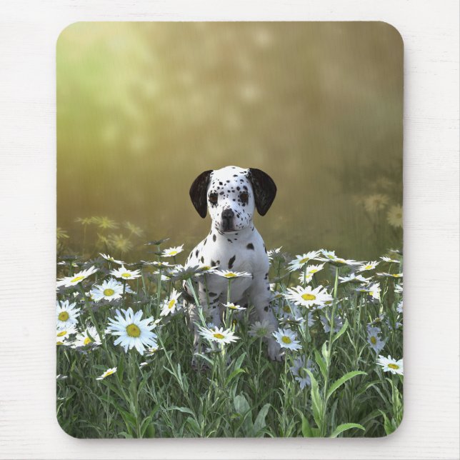 Mousepad Cachorro Dalmaciano em Daisies (Frente)