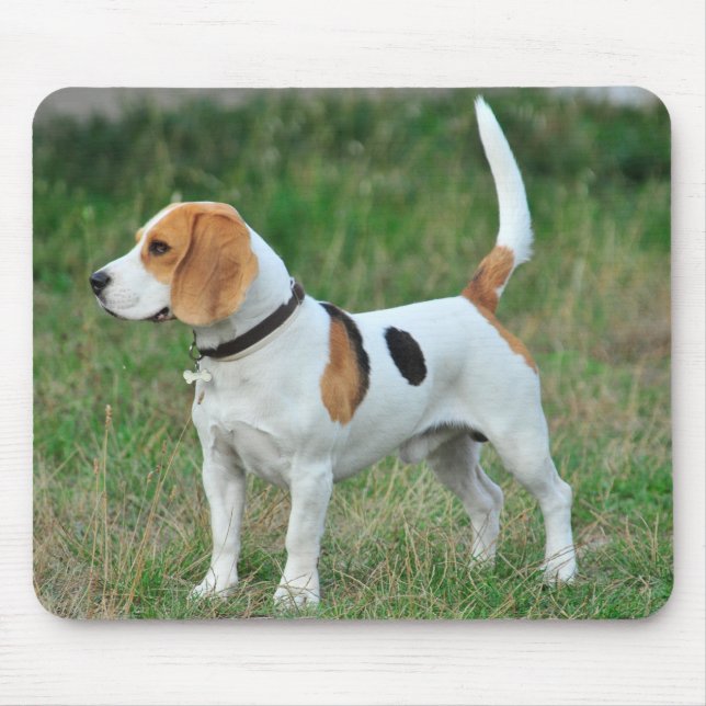 Mousepad Cachorro de Beagle Hound (Frente)