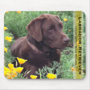 Mousepad Cachorro de Chocolate Bonito Labrador Retriever Ca
