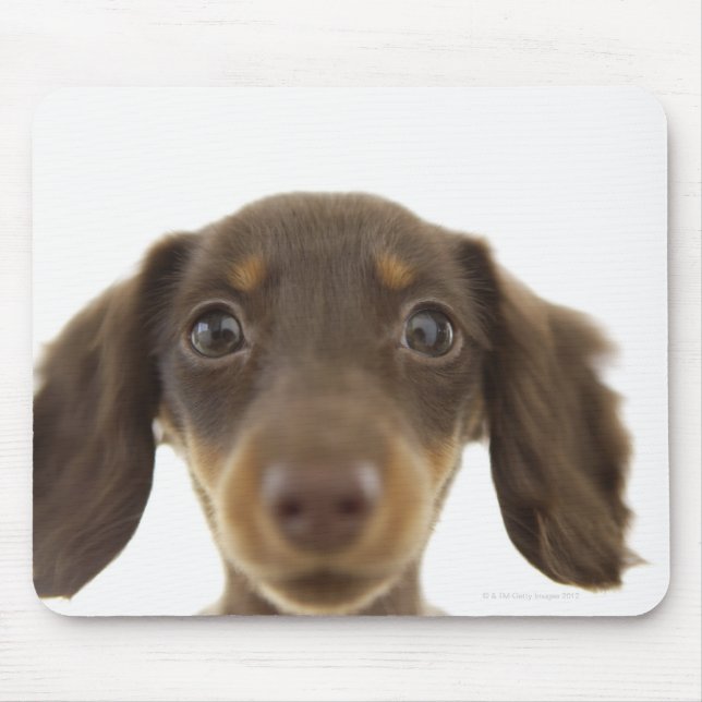 Mousepad Cachorro de inverno (marrom) 2 (Frente)