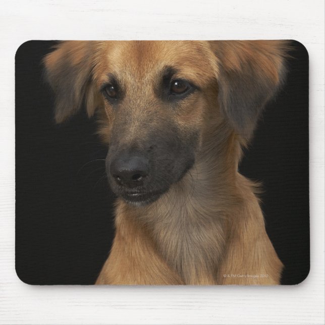 Mousepad Cachorro de resugo castanho com nariz preto em pre (Frente)