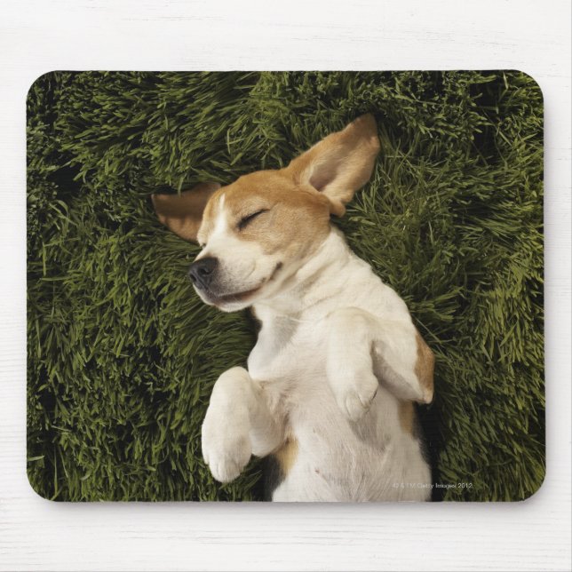Mousepad Cachorro deitado em grama dormindo (Frente)